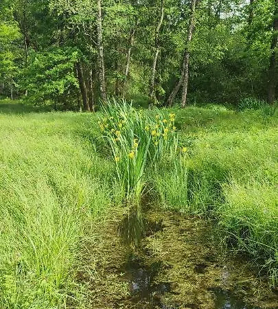 Gaestehaus Moorbad Gmoes Séjour à la campagne *